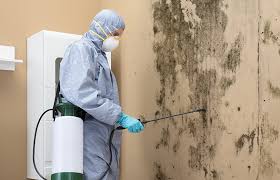 Why You Should Choose Our Mold Remediation Services in Perryopolis, PA